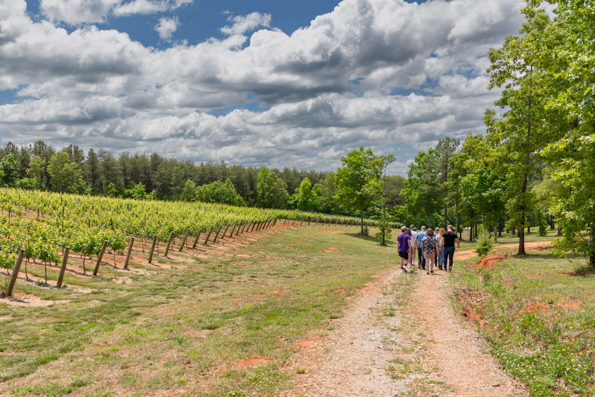 Asheville Wine Tours